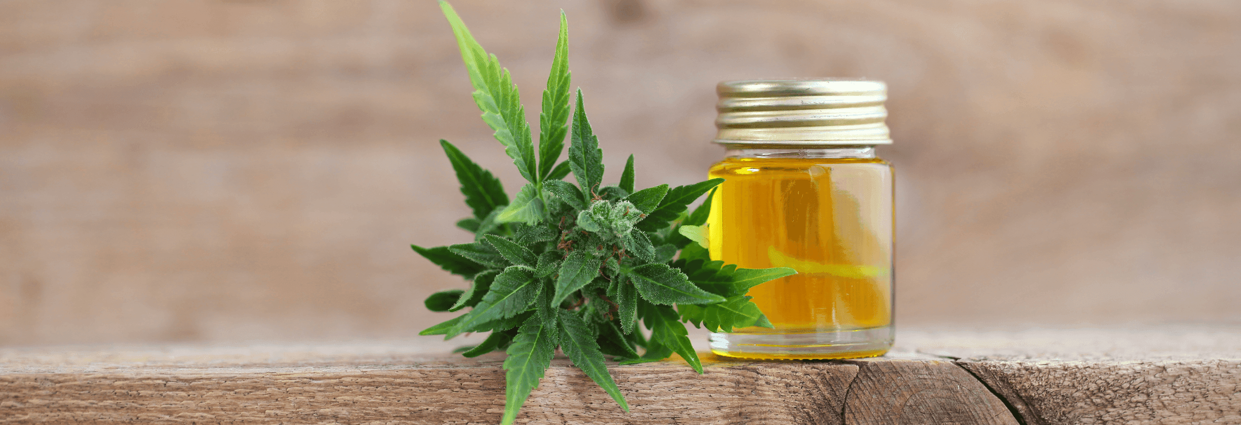 grüne Cannabis Pflanze mit Extrakt auf Holztisch