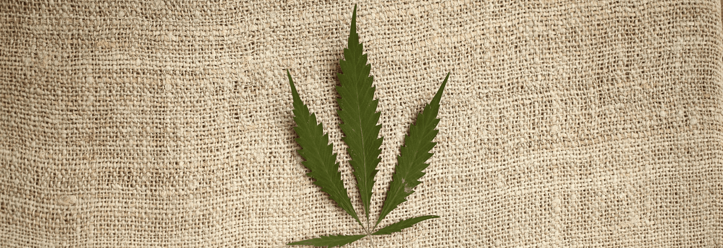 grünes Cannabis Blatt auf Bast Stoff