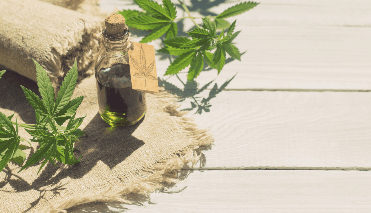 grüne Cannabis Pflanze und Extrakt auf Holztisch